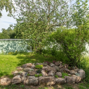 Redwell   17 06 2020   D500   Les 510.jpg